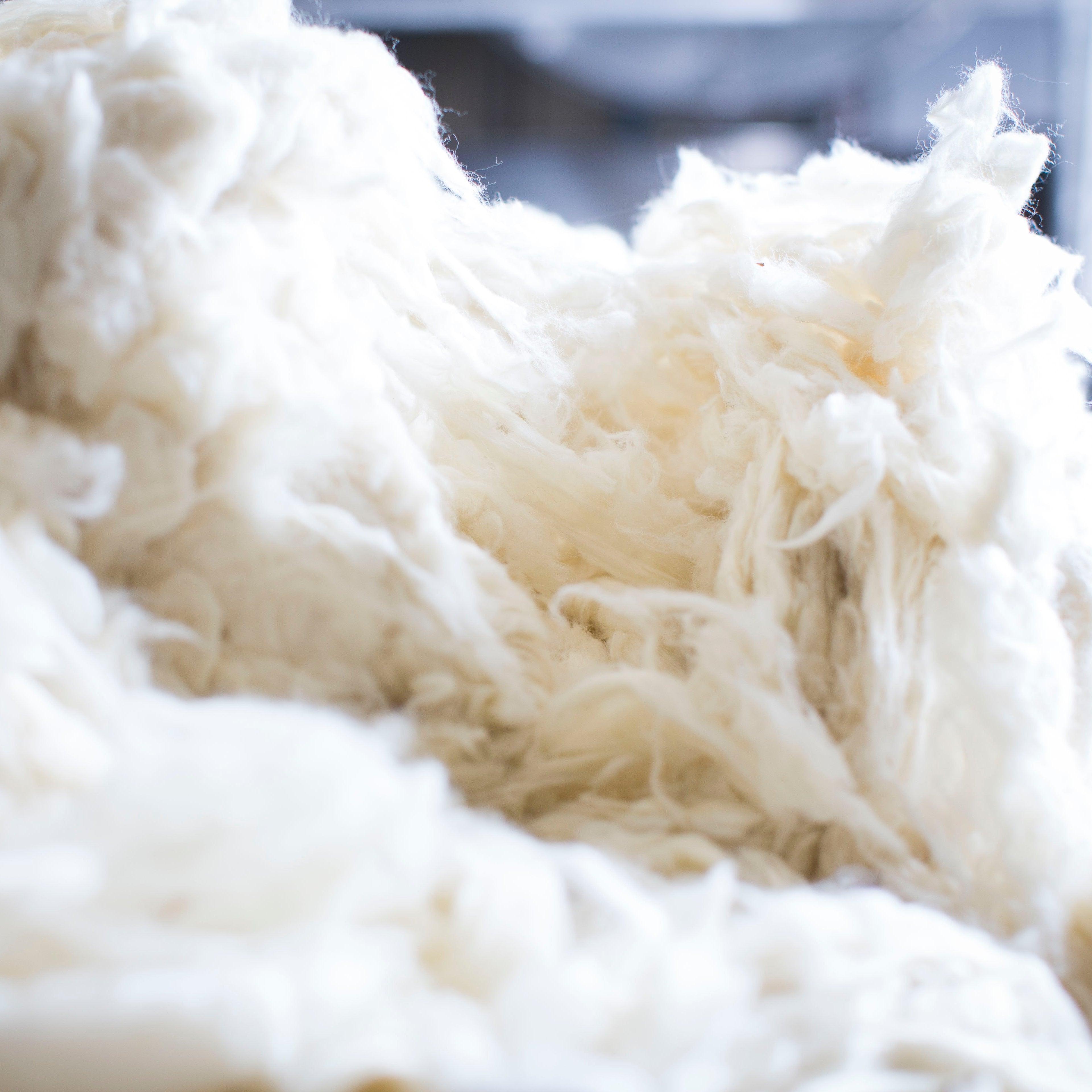 WOOL