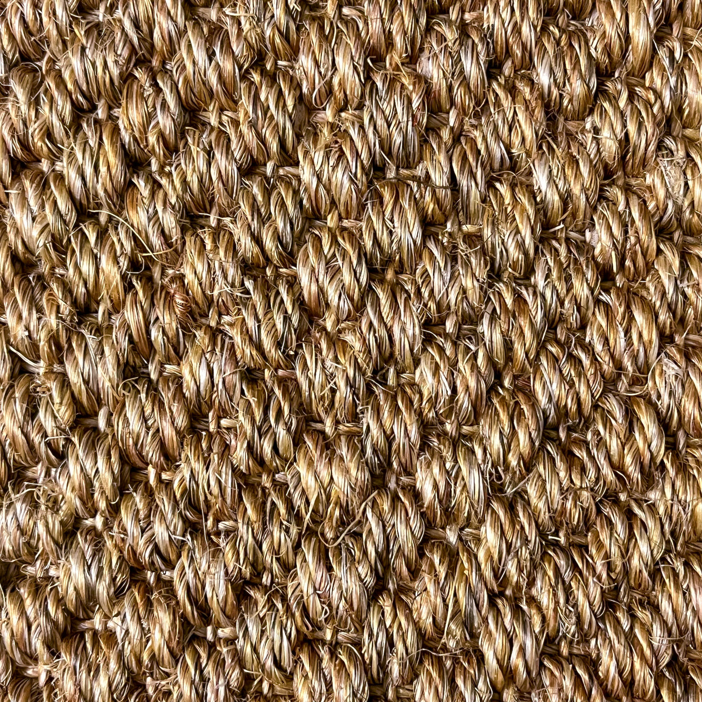 Handloomed sisal Amazonian Rug